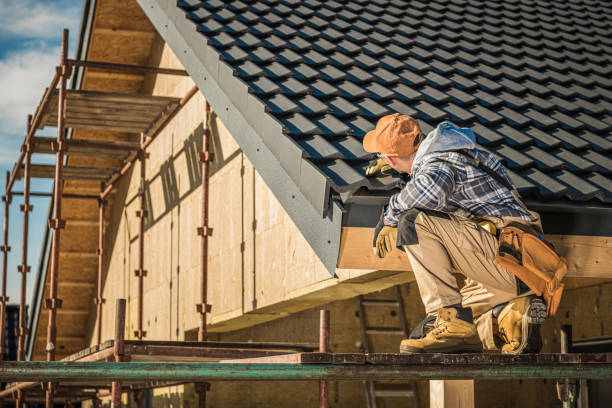 Best Skylight Installation and Repair  in Nashville, GA