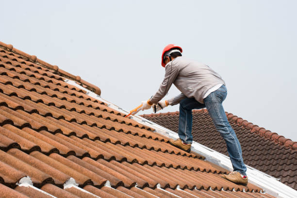Best Roof Leak Repair  in Nashville, GA