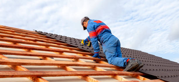Best Gutter Replacement  in Nashville, GA