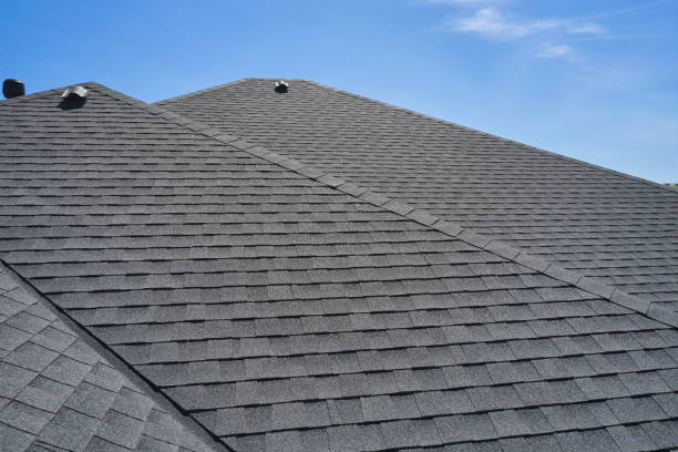 Best Roof Moss and Algae Removal  in Nashville, GA